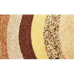 Application Note: NIR Spectroscopy for Food and Agriculture