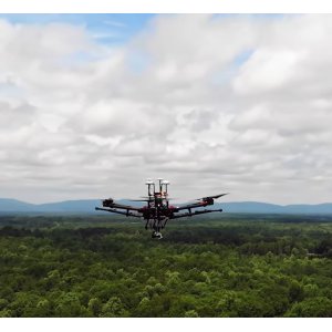 Solar Induced Fluorescence to Monitor Ecosystems