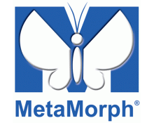 Omicron - MetaMorph Software Integration