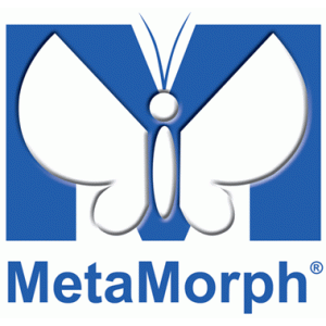 Omicron - MetaMorph Software Integration