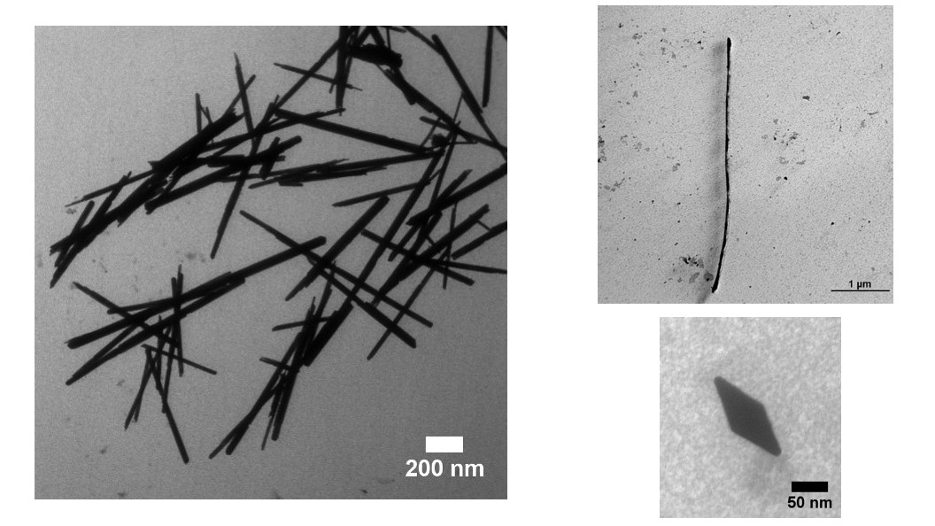 nanoparticles