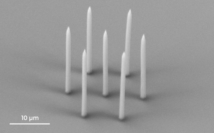nanoneedles