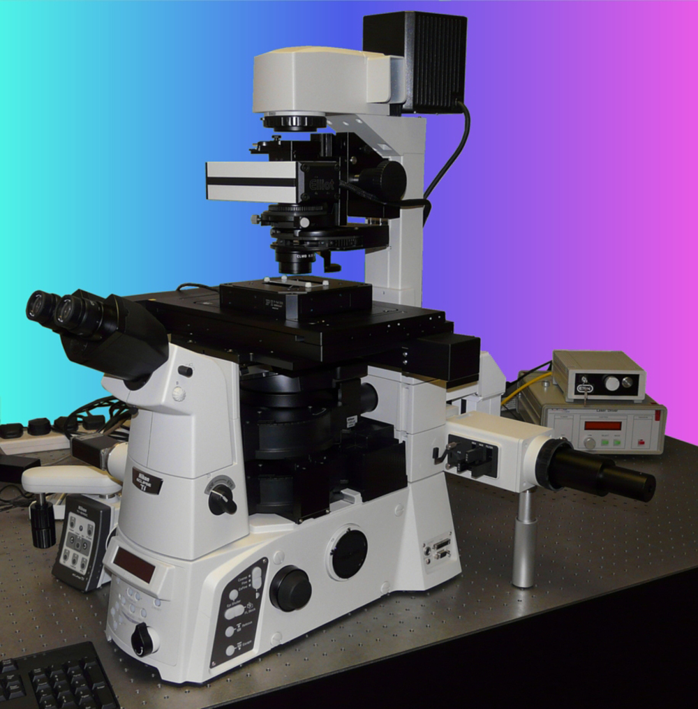 Optical Tweezer