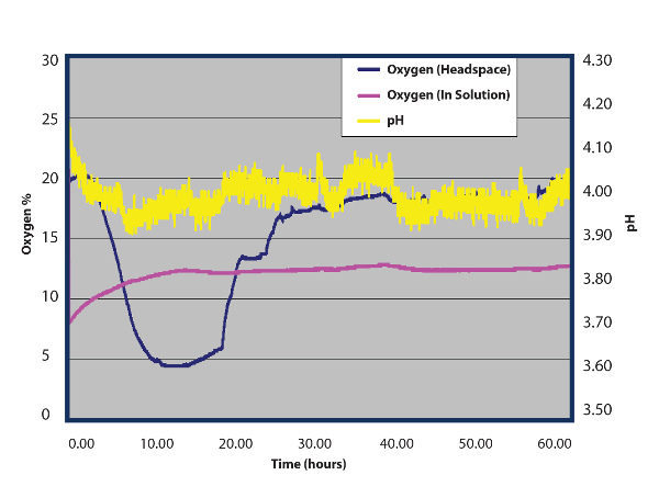 Red Grape Fermentation: Oxygen and pH after 60 hours