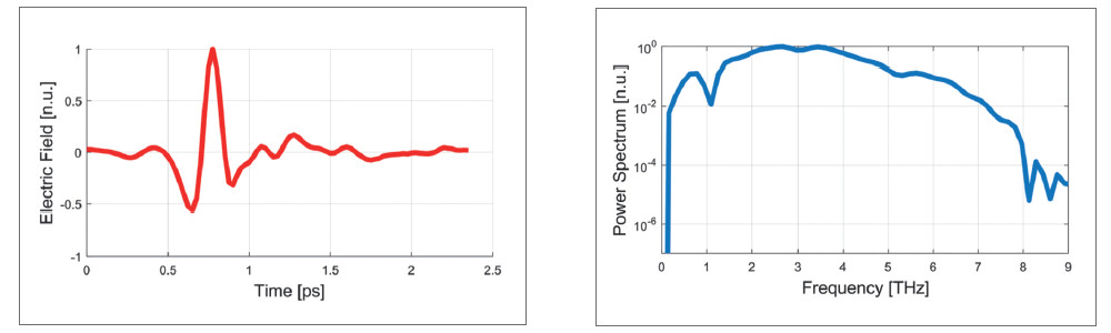 Time and frequency for organic THz crystal