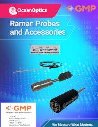 Raman probe